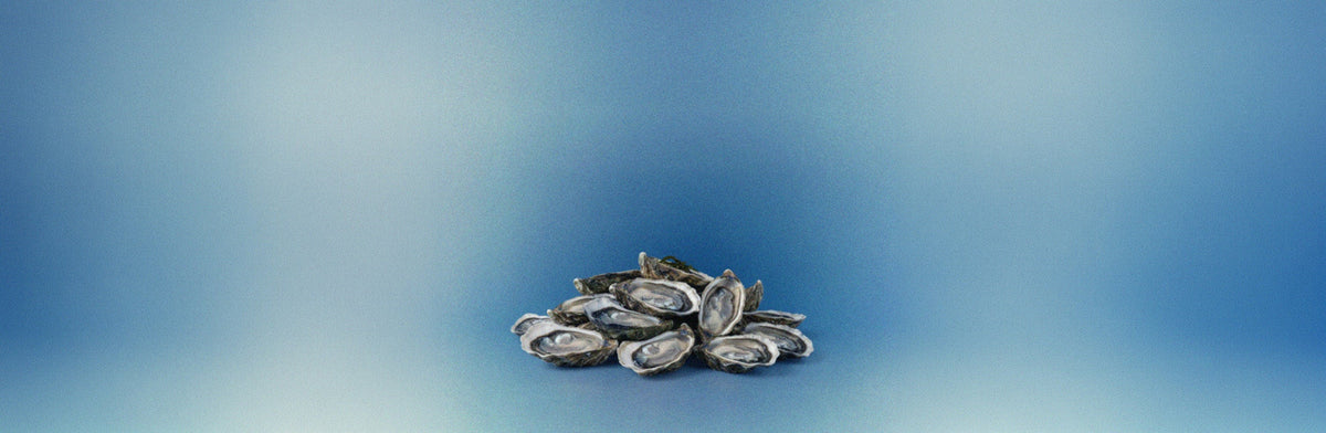 The Zinc Deficiency Problem